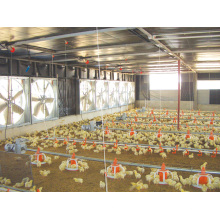 Automatic Control Type Chicken House with Equipments